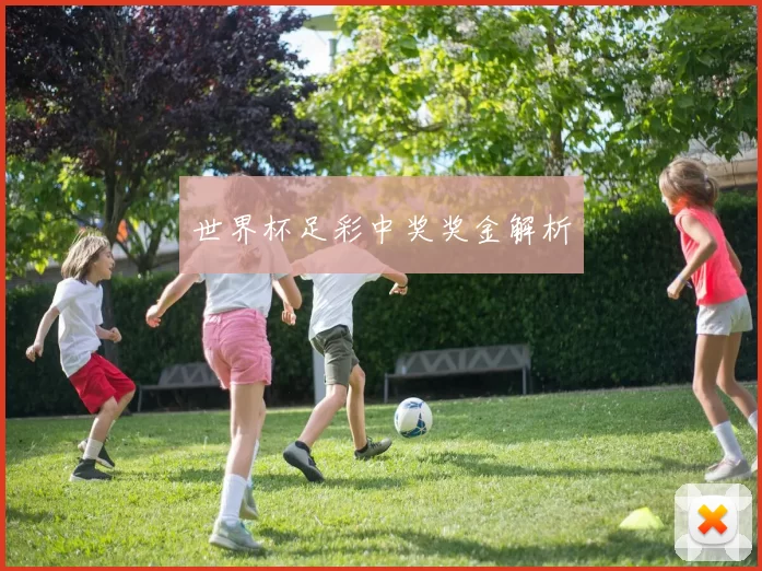 世界杯足彩中奖奖金解析