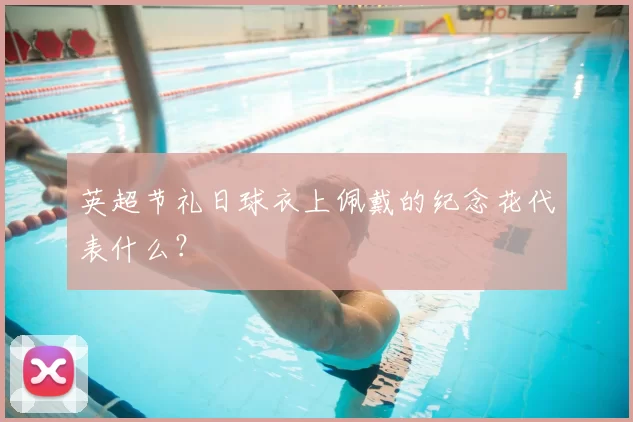 英超节礼日球衣上佩戴的纪念花代表什么？