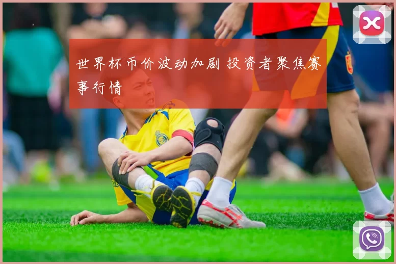 世界杯币价波动加剧 投资者聚焦赛事行情