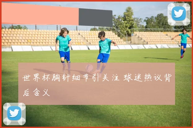 世界杯胸针细节引关注 球迷热议背后含义