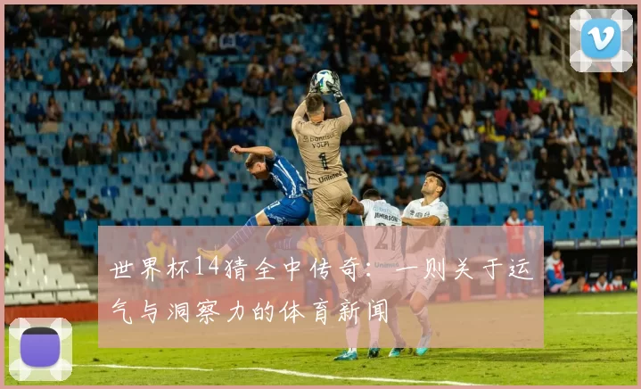 世界杯14猜全中传奇：一则关于运气与洞察力的体育新闻