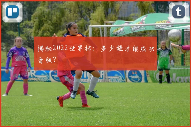 揭秘2022世界杯:多少强才能成功晋级?