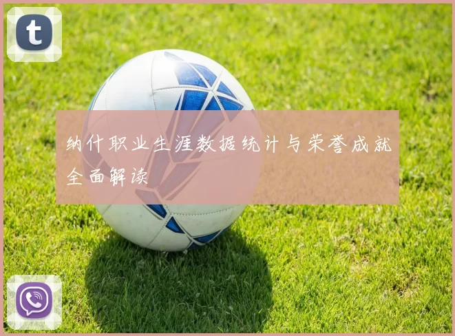 纳什职业生涯数据统计与荣誉成就全面解读