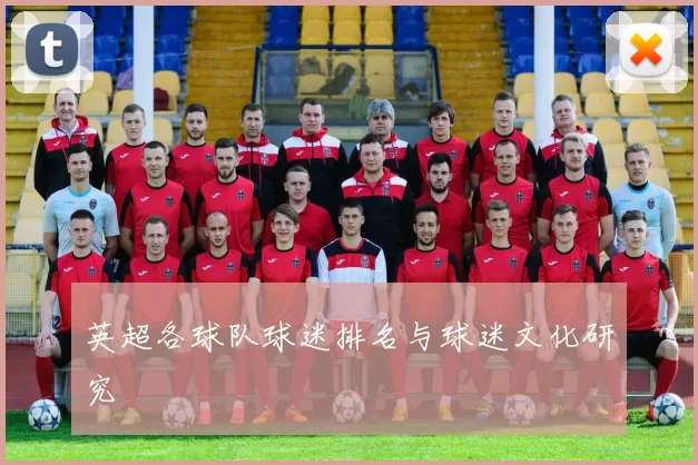 英超各球队球迷排名与球迷文化研究