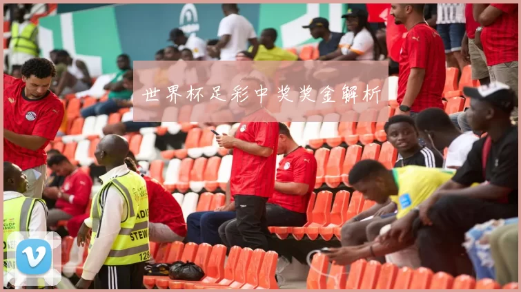 世界杯足彩中奖奖金解析