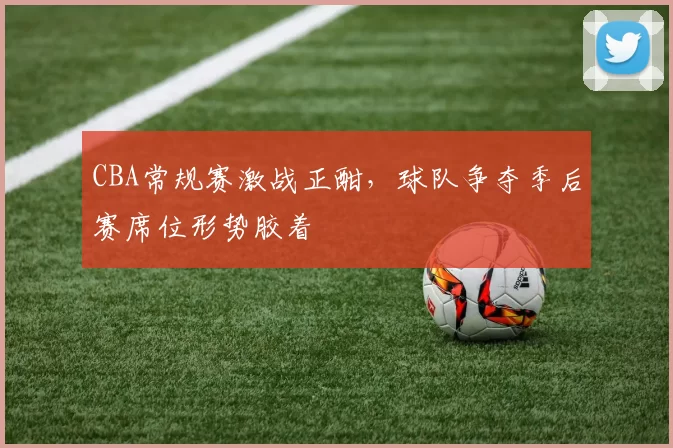 CBA常规赛激战正酣，球队争夺季后赛席位形势胶着