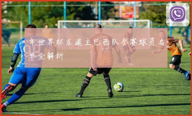 年世界杯东道主巴西队参赛球员名单全解析
