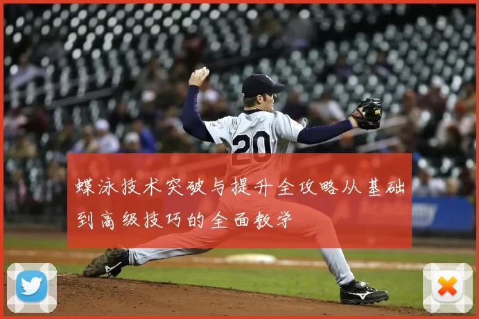 蝶泳技术突破与提升全攻略从基础到高级技巧的全面教学