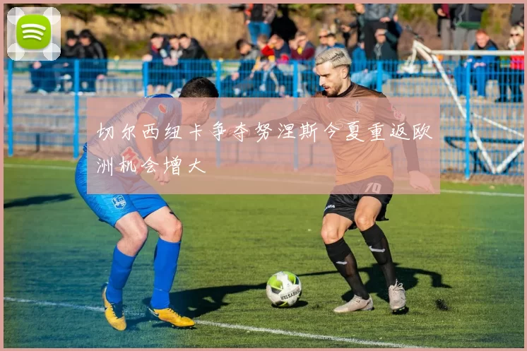 切尔西纽卡争夺努涅斯今夏重返欧洲机会增大