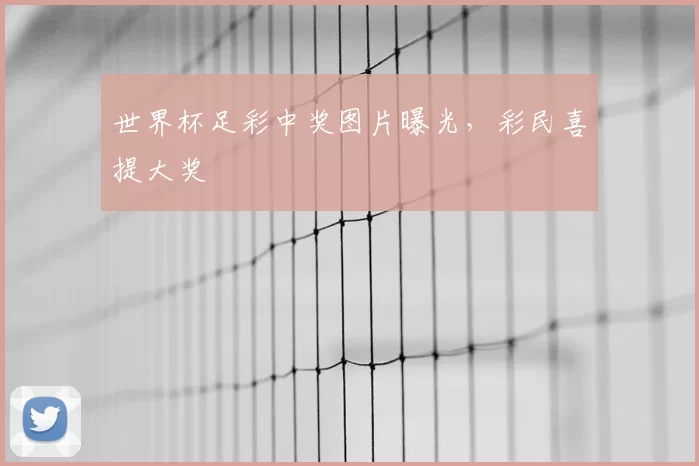 世界杯足彩中奖图片曝光,彩民喜提大奖