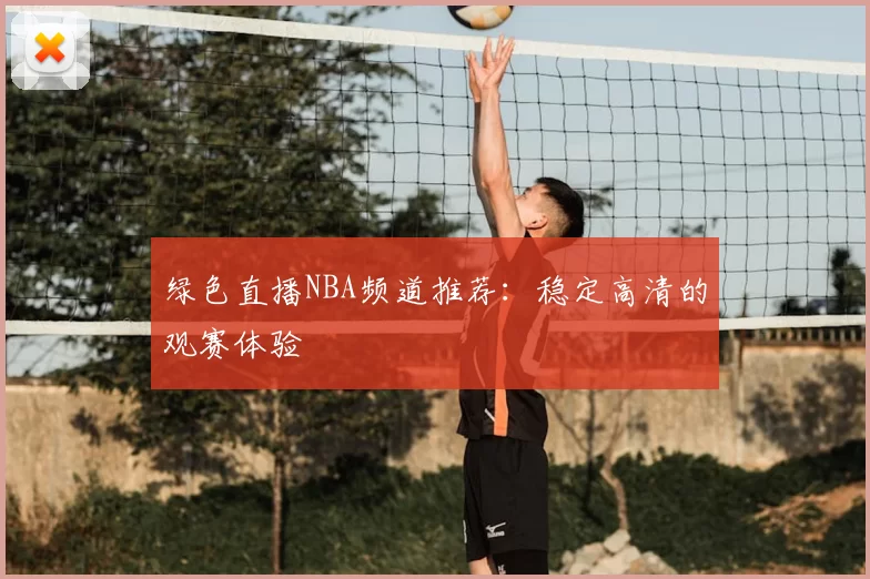 绿色直播NBA频道推荐：稳定高清的观赛体验