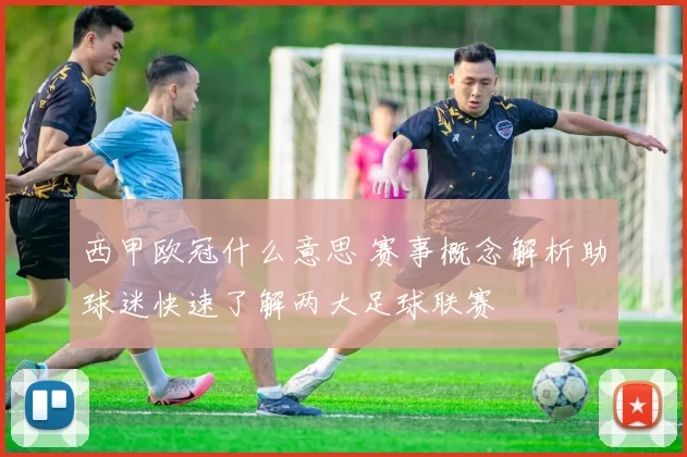西甲欧冠什么意思 赛事概念解析助球迷快速了解两大足球联赛