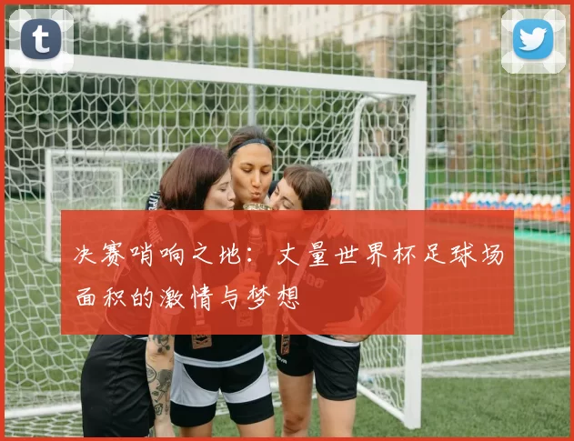 决赛哨响之地:丈量世界杯足球场面积的激情与梦想