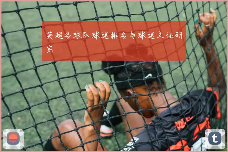 英超各球队球迷排名与球迷文化研究