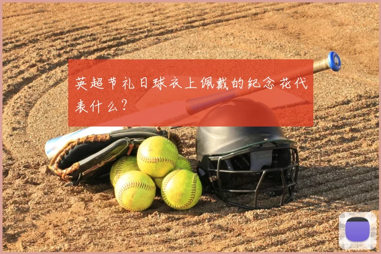 英超节礼日球衣上佩戴的纪念花代表什么？